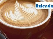 Attività / Licenza in vendita a Verona VR