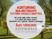 Attività / Licenza in vendita a Verona VR