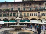 Attività / Licenza in vendita a Verona VR