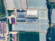 Attività / Licenza in vendita a Verona VR