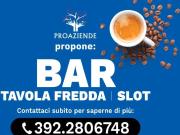 Attività / Licenza in vendita a Viadana MN