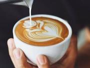 Attività / Licenza in vendita a Vignola MO