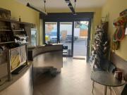 Attività / Licenza in vendita a Vische TO