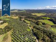 Attività / Licenza in vendita a Volterra PI