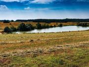 ATTIVITA´ Via Rodolfo Morandi, 10 vani 1300mq