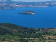 ATTIVITA'/LIC.COMMERCIALE in VENDITA a BOLSENA...