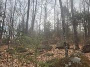 Attleboro Mountain Rd Lots And,richmond, Plot For Sale