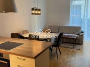 Attraktive 1,5 Zimmer Wohnung zur Miete in Wien