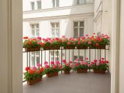 Attraktive 4 Zimmer Altbauwohnung I Erstbezug mit Balkon