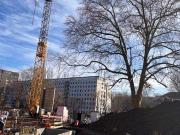 Attraktive Stadtwhg. 4 Zi. II.OG gr. Südbalkon Aufzug...