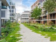 2 Zimmer Wohnung mit großer Terrasse zur Untermiete...