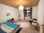 Attraktives 1 Zimmer Apartment in Dortmund Innenstadt West