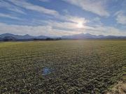 Attraktives Bauerwartungsland zur Entwicklung in...