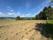 Attraktives Baugrundstück mit Entwicklungspotenzial...