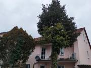 Attraktives Wohnungspaket bestehend aus Obergeschoss und...