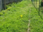 AU BOUT DU CHEMIN LA TRANQUILITE