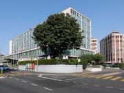 Au coeur du quartier des Nations, bureaux de 239 m² à... Au coeur du quartier des Nations, bureaux de 239 m² à...