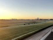 Au Pied du Tram Jardin/Piscine