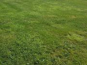 Aube Vente Terrain 61