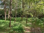 Aubenas 07200 Achat / Vente terrain