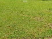 Aubérive Vente Terrain 51