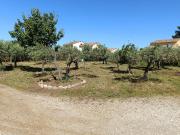 Aubignan Vente Terrain 84