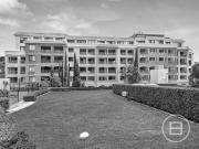 Auction Saturday 28th March at 10am