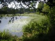 AUDE DOMAINE 170 HA LAC GÎTES