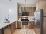 Audere Apartments Mojave Aster