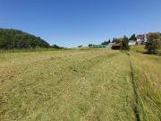 ! Auf meiner Ranch bin ich König. !