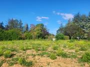 Auffargis Vente Terrain 78