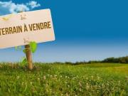 Auffay Vente Terrain 76