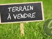 Augé Vente Terrain 79