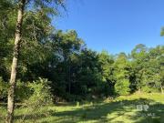 Augusta Ct Lot,fairhope, Plot For Sale