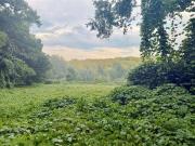 Augusta Hicks Rd, Walnut Cove, Plot For Sale