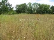 Aulnay 17470 Achat / Vente terrain