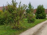 Aulnay la Rivière Vente Maison 45