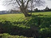 Auray 56400 Programme neuf terrain neuf à vendre