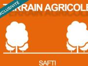 Aurec sur Loire Vente Terrain 43