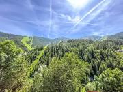 Auron 06660 Achat / Vente appartement 2 pièces t2