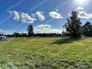 Aurora vende parcela En Tacamó, a 10 kms de Osorno