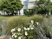Aussergewöhnliche 5.5 Zimmer Garten Eigentumswohnung in...