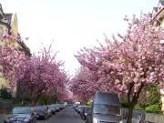 Außergewöhnliche Wohnung in bester grüner 1 A Lage...