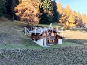 Außergewöhnliches Mayen eine Almhütte mitten in der Natur