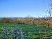 Auterive 31190 Achat / Vente maison 5 pièces t5 jardin