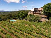 Authentique Mas en Pierres sur 55 ha dont 15 ha de...