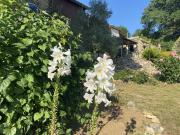 Auzas Vente Maison 31