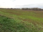 Auzielle 31650 Programme neuf terrain neuf à vendre
