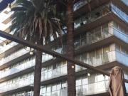 Av Libertador 2300 8 05 |ACA2636