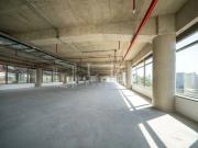 AV Magalhães de Castro, Cidade Jardim